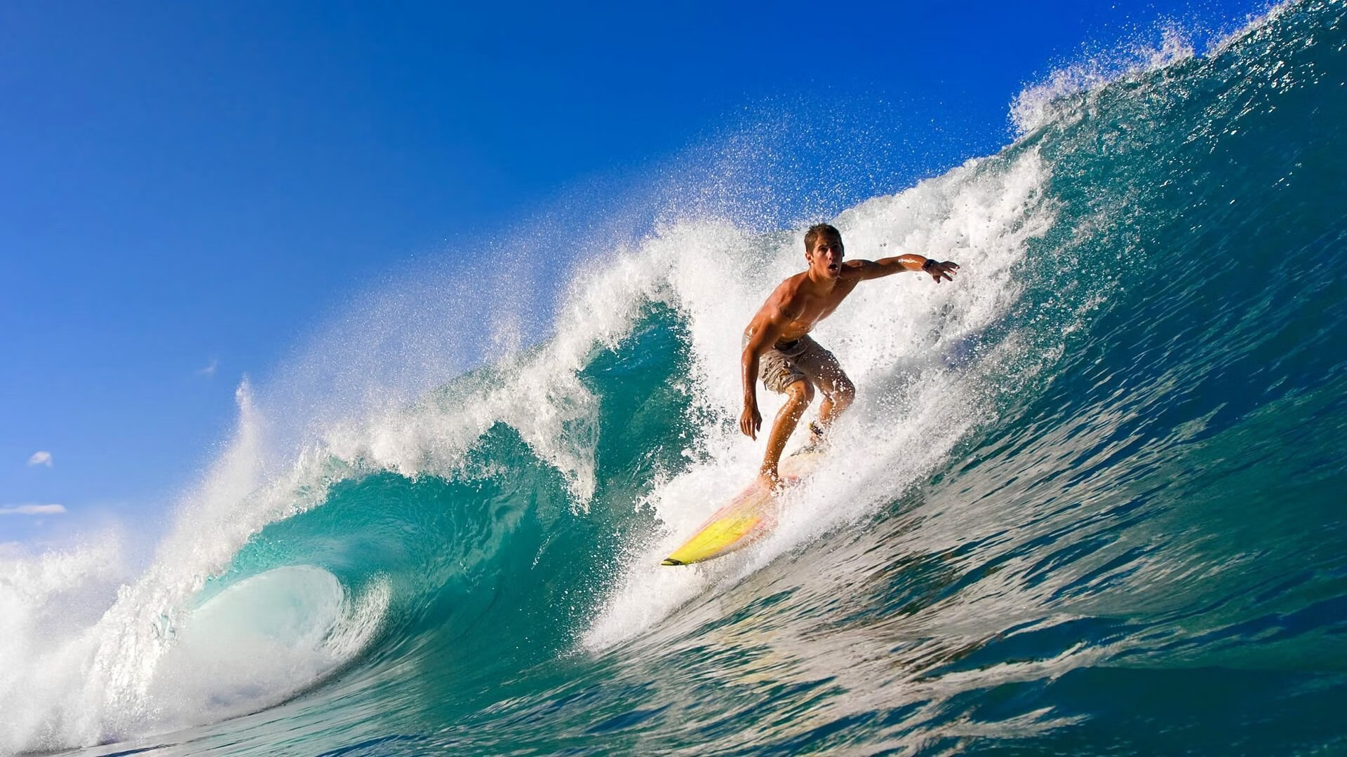 法国青训项目的国际化发展，进一步巩固全球橄榄球地位，法国篮球青年队