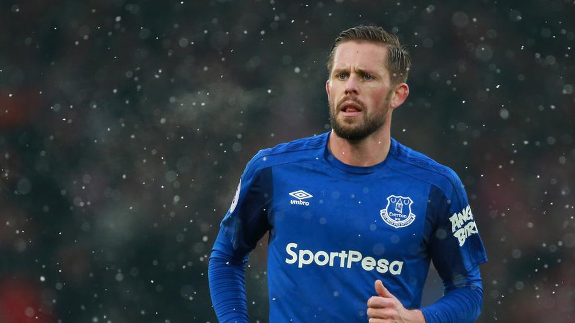 自由泳预赛比利时选手表现稳定，自由泳国际比赛